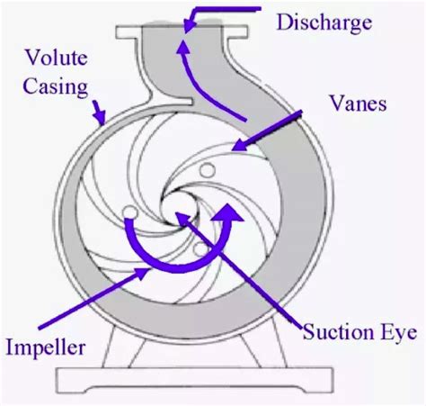 centrifugal bilge pump|bilge pump function.